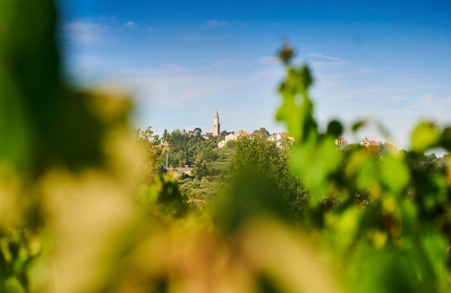 Map of NW Istria - activities, events, and accommodation | Colours of ...