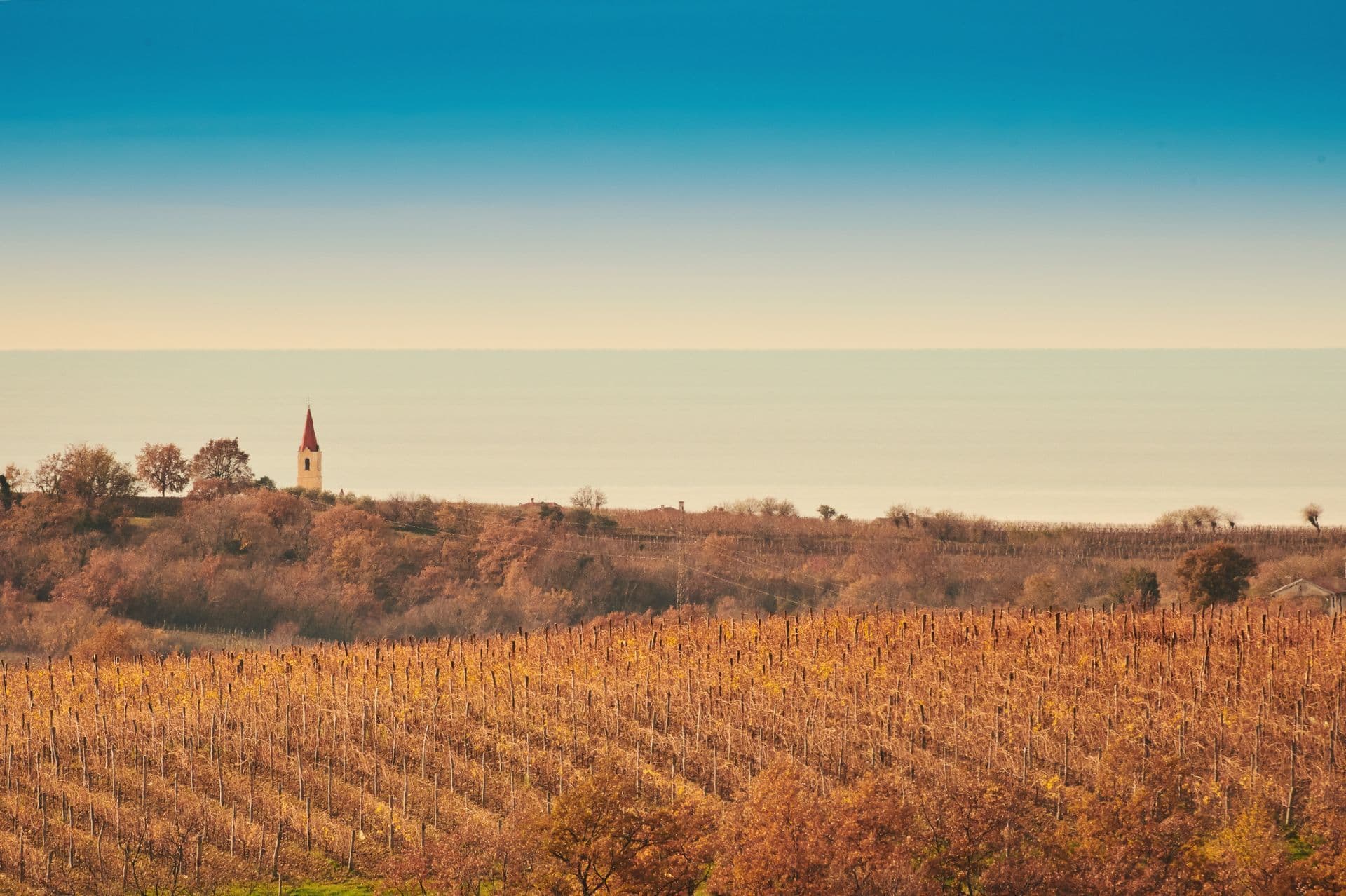 What to visit and experience in Brtonigla? Colours of Istria