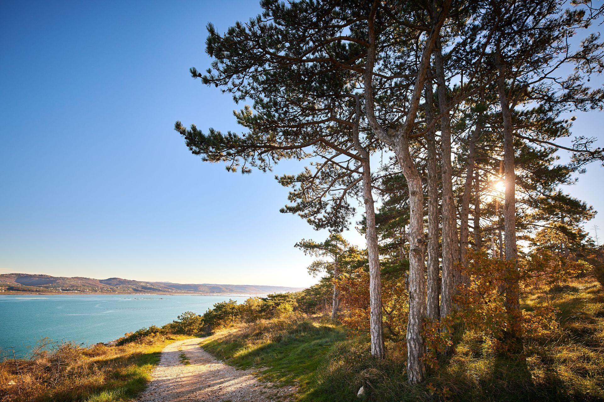 Istria, Croatia - What to visit and experience? | Colours of Istria
