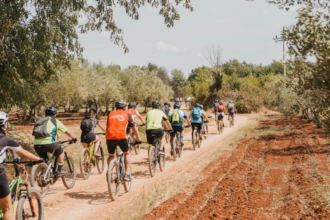 Brtonigla, Kroatien Was kann man besuchen? Colours of Istria