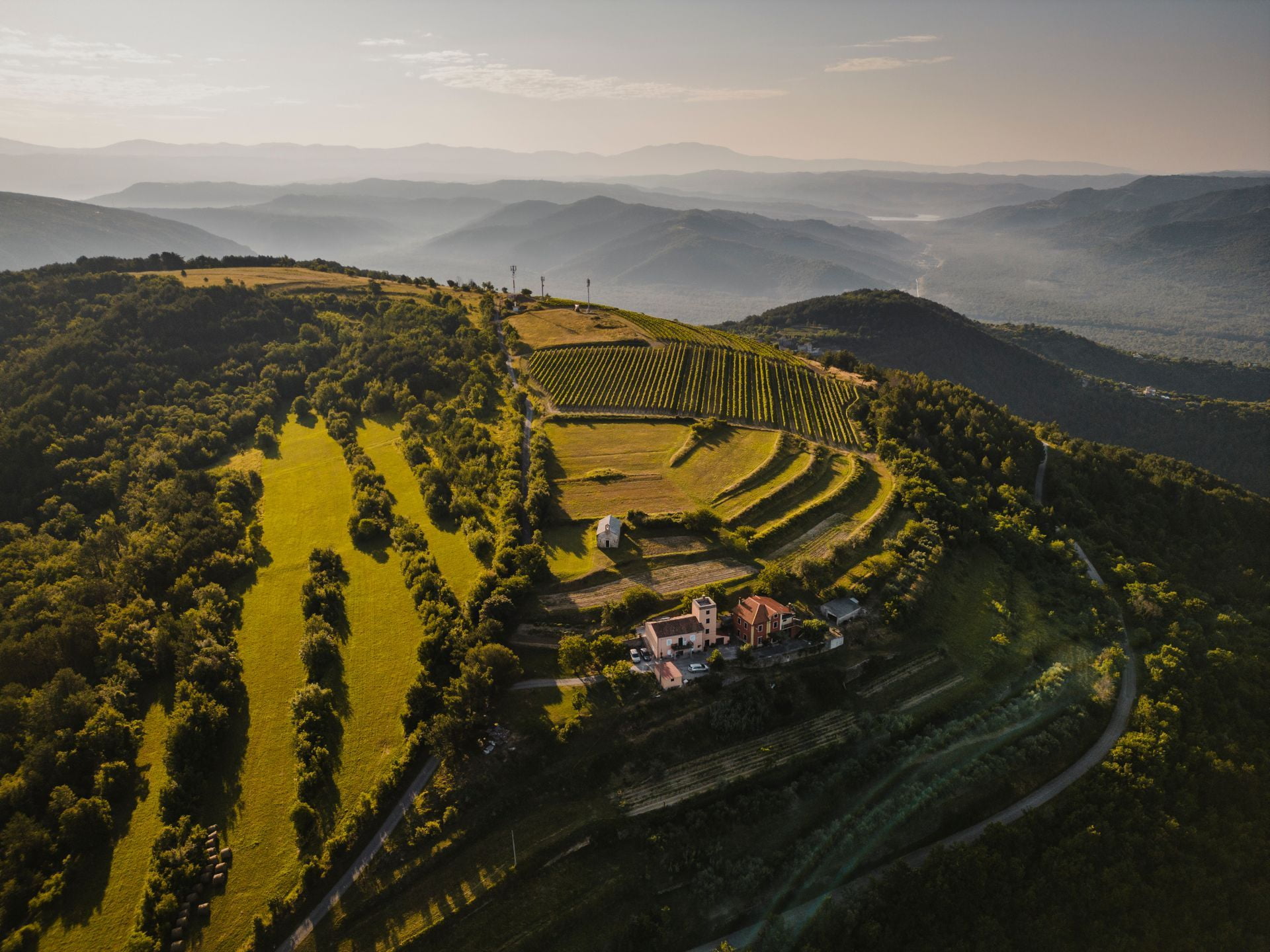 Hills and vineyards around Oprtalj